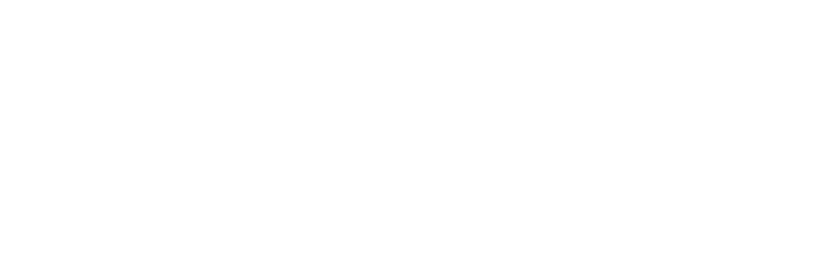 LOGO Career Plus white